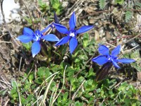 dscn4225.jpg
