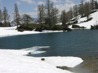 dscn4236.jpg