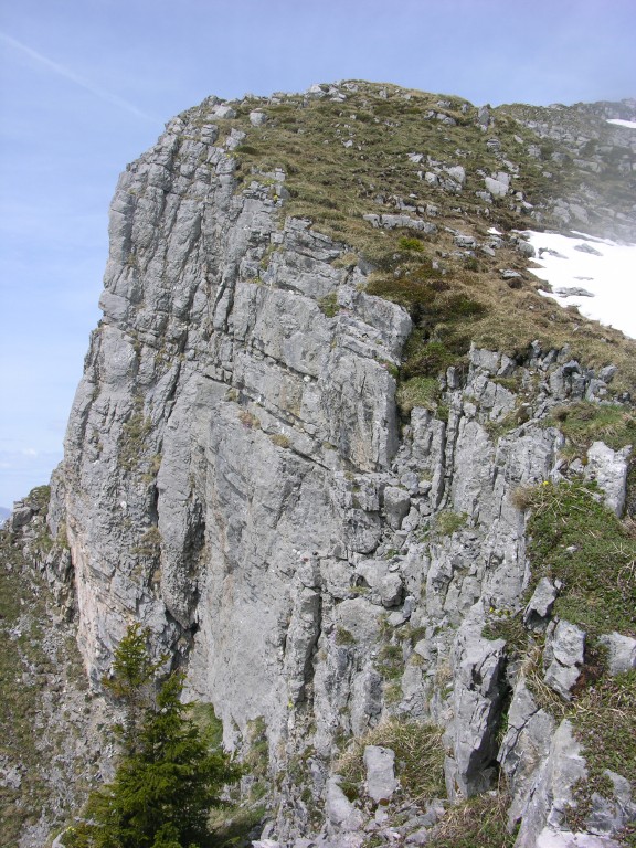 dscn4251.jpg