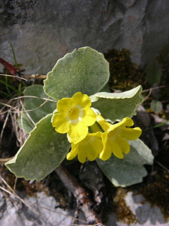 dscn4252.jpg