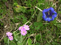 dscn4246.jpg