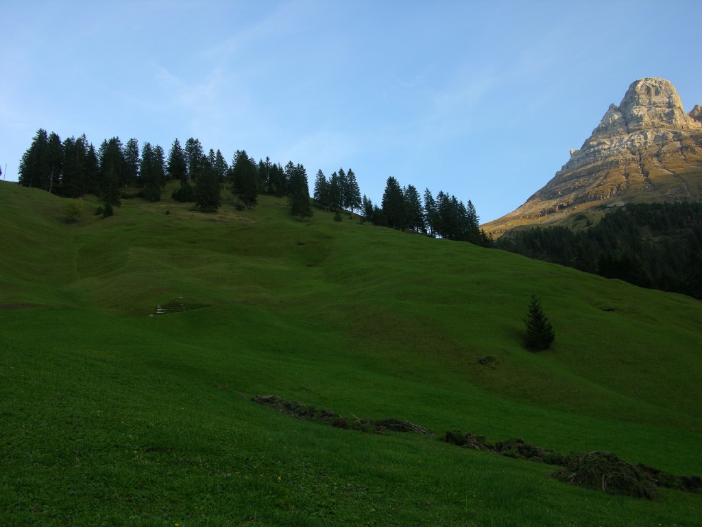 dscn5376.jpg