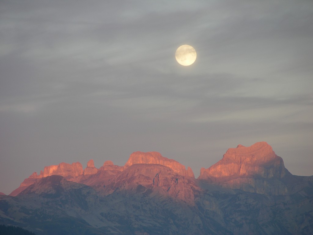 dscn5379.jpg