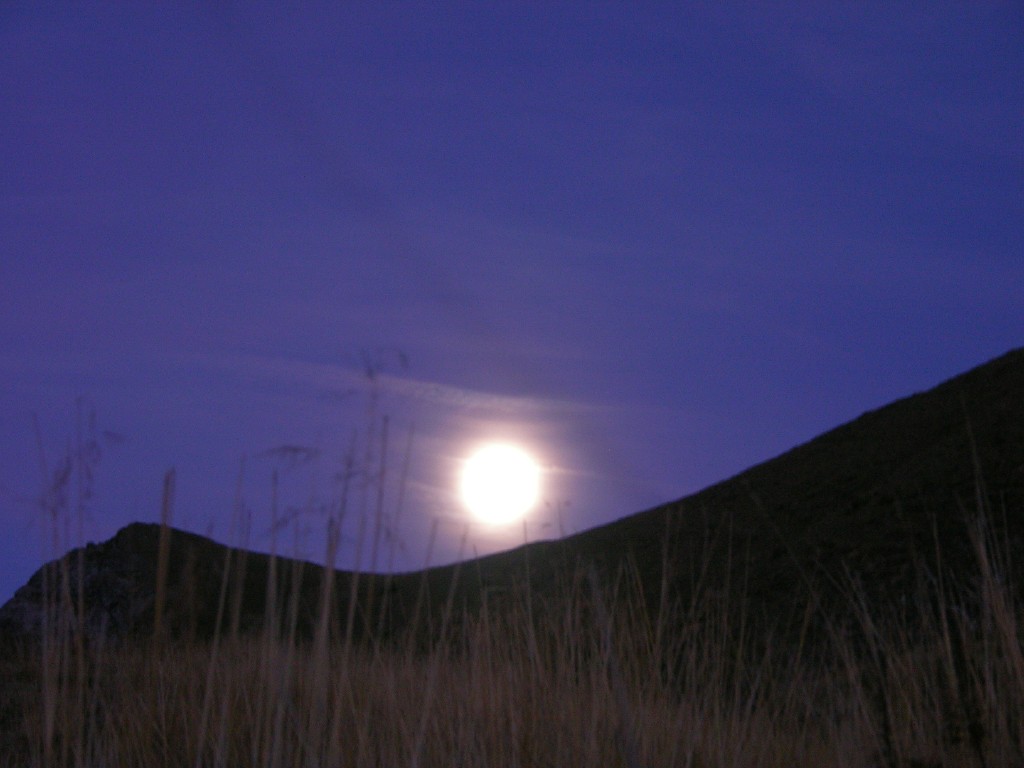 dscn5385.jpg