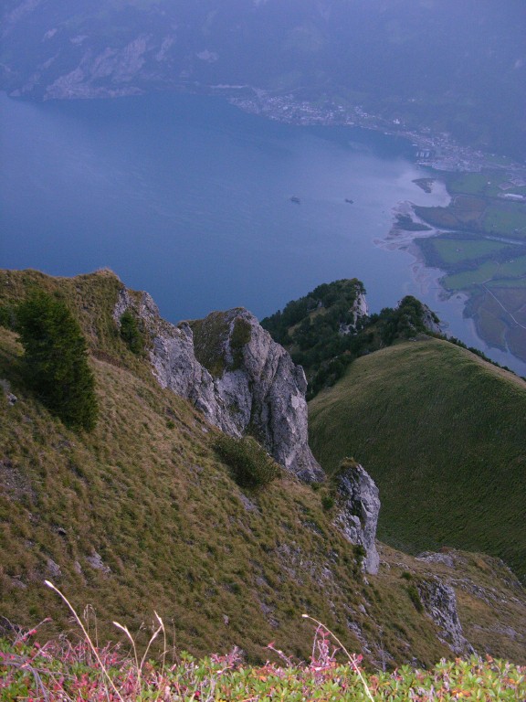 dscn5411.jpg