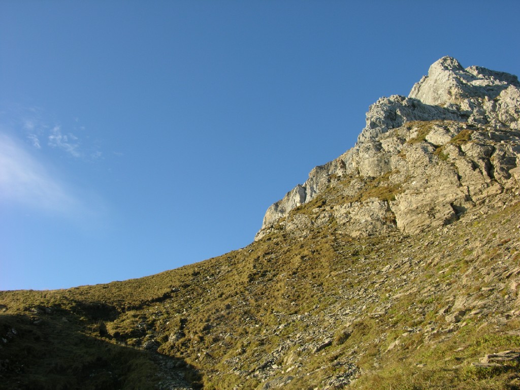 dscn5422.jpg