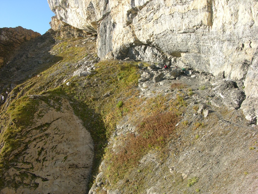 dscn5424.jpg