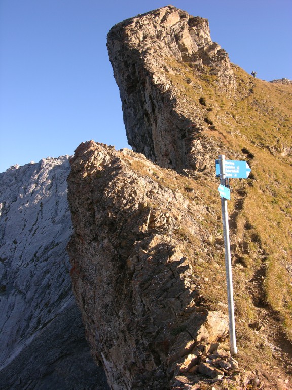 dscn5426.jpg