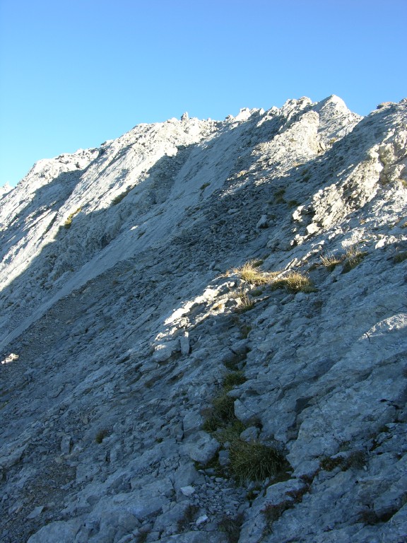 dscn5428.jpg