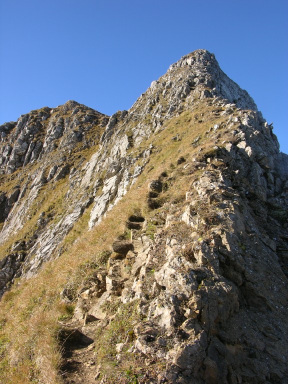 dscn5435.jpg