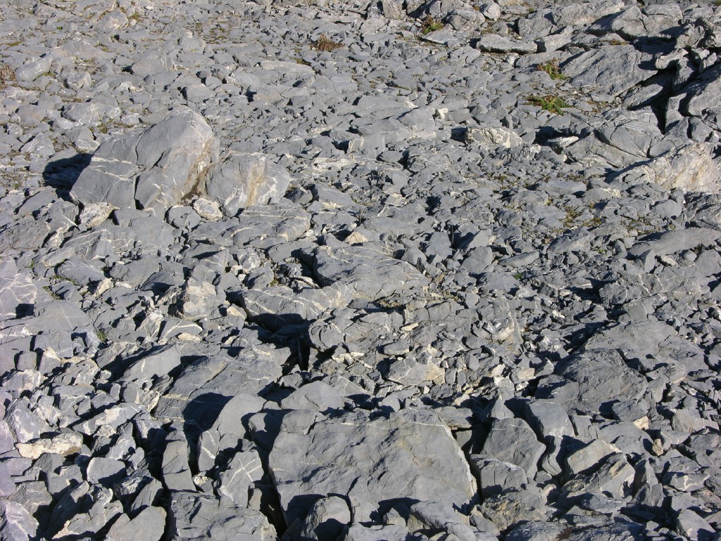 dscn5438.jpg
