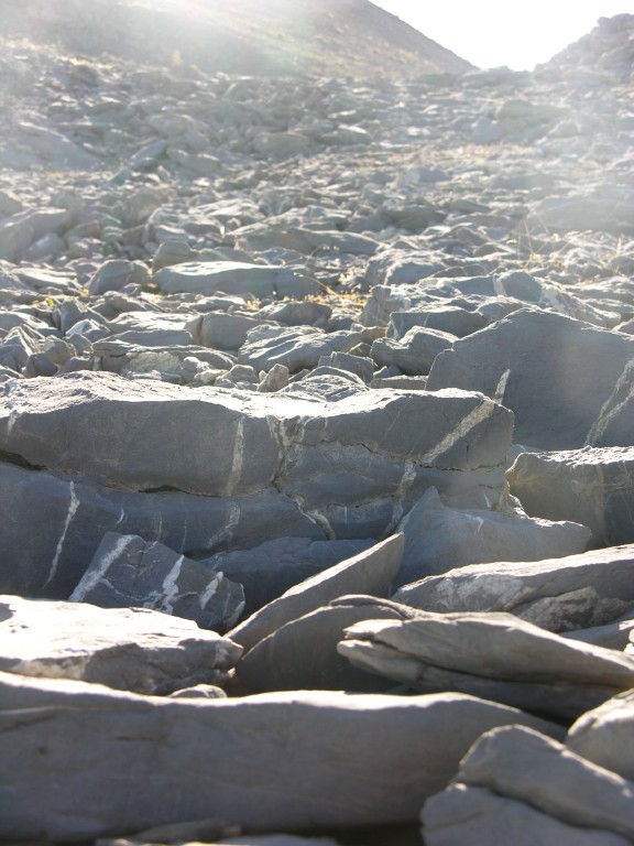 dscn5439.jpg