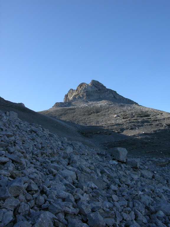 dscn5441.jpg