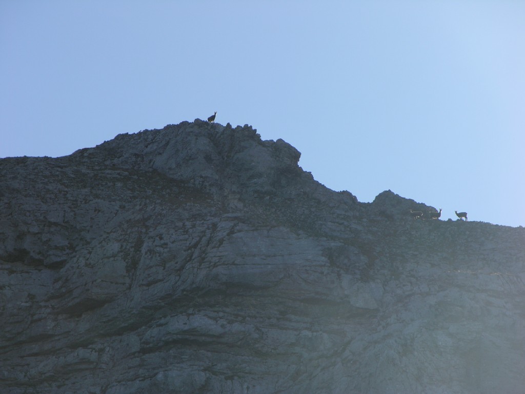 dscn5446.jpg
