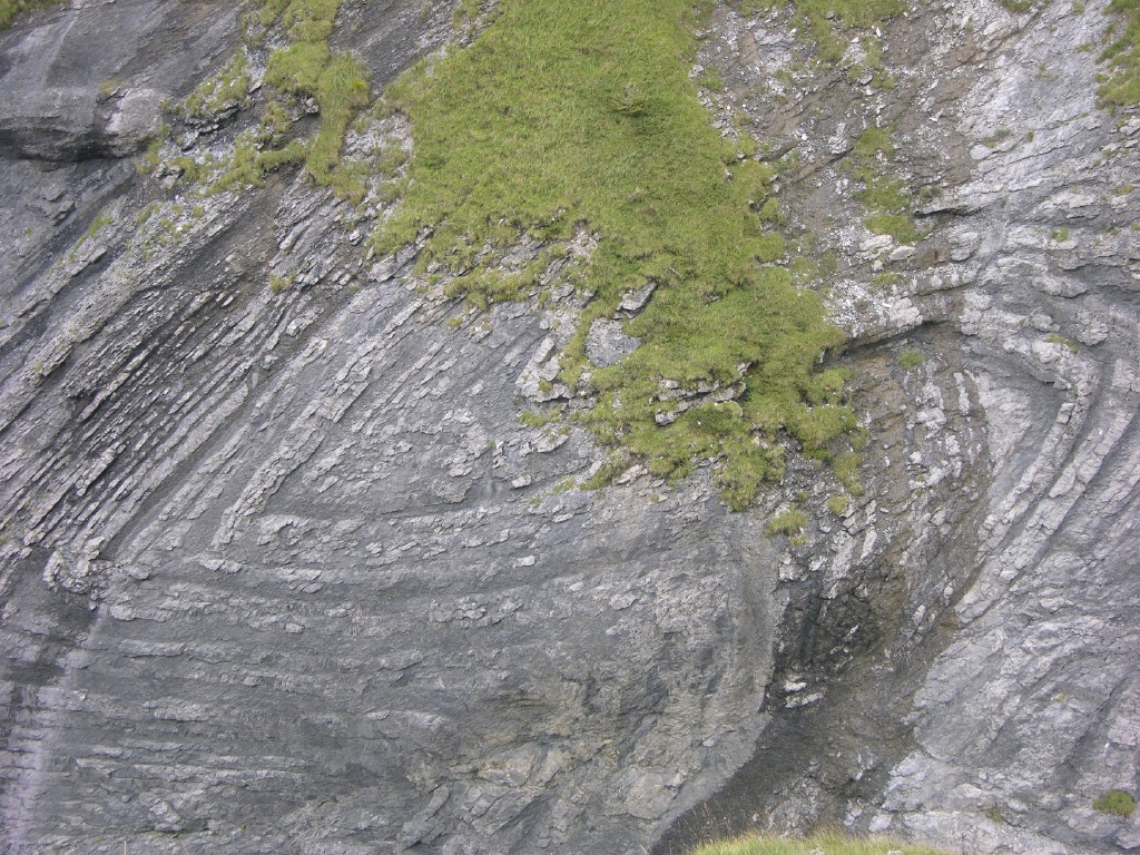 dscn5078.jpg