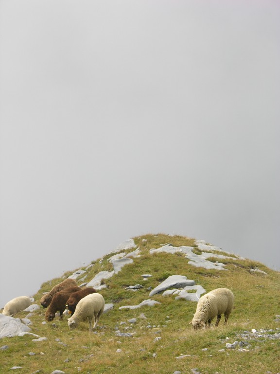 dscn5141.jpg