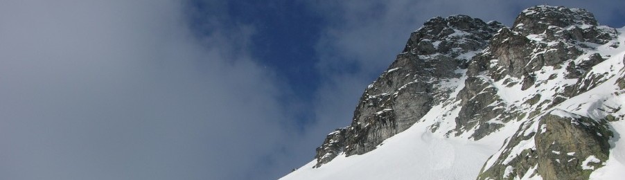 Stimmungsmacher 2009