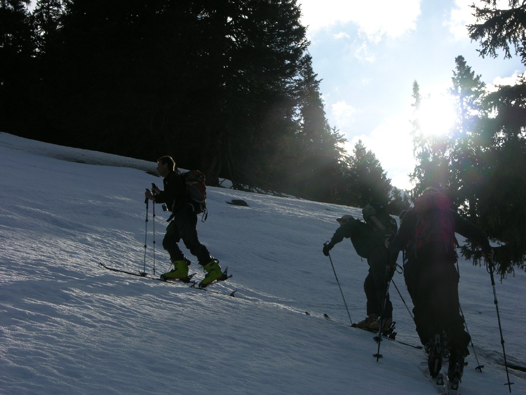 dscn3931.jpg