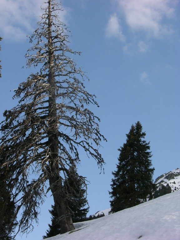 dscn3932.jpg