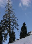dscn3932.jpg