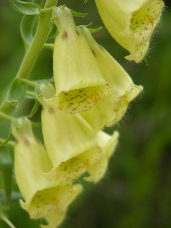 dscn4513.jpg