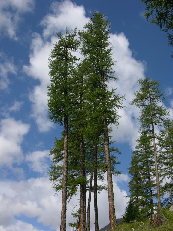 dscn4516.jpg