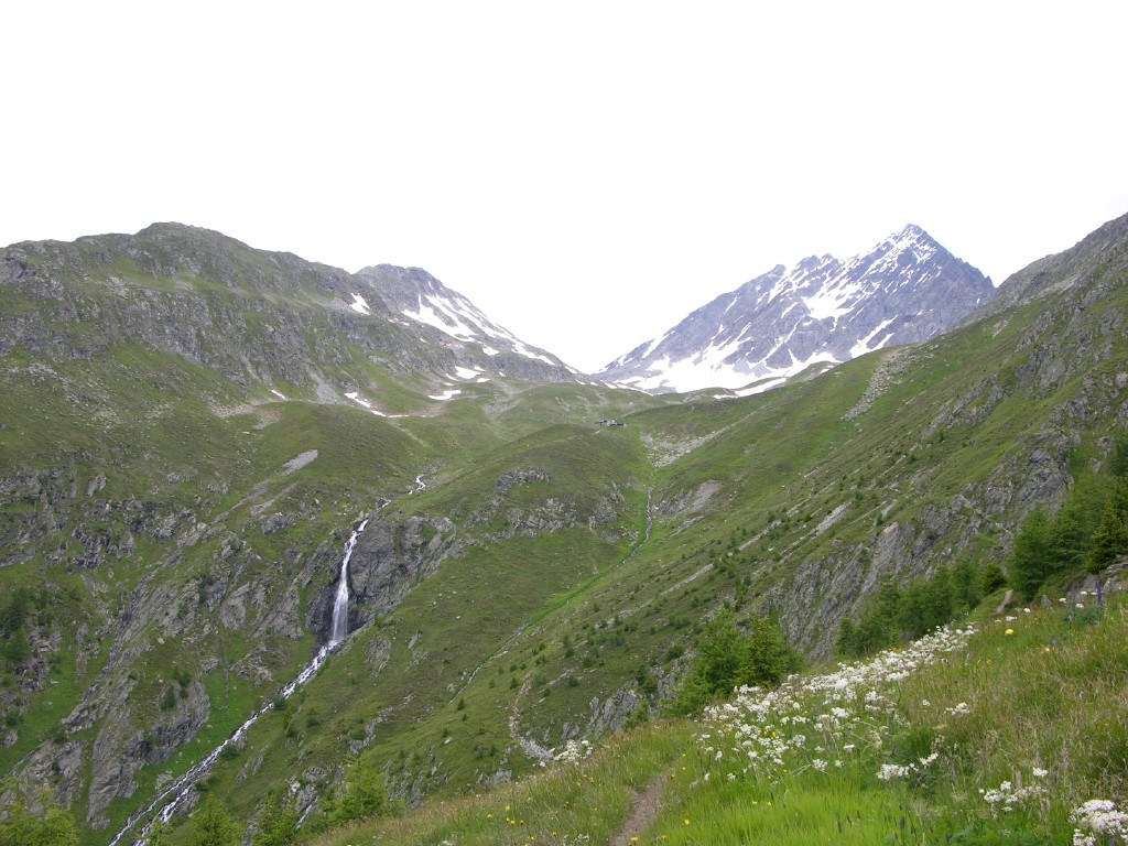dscn4517.jpg