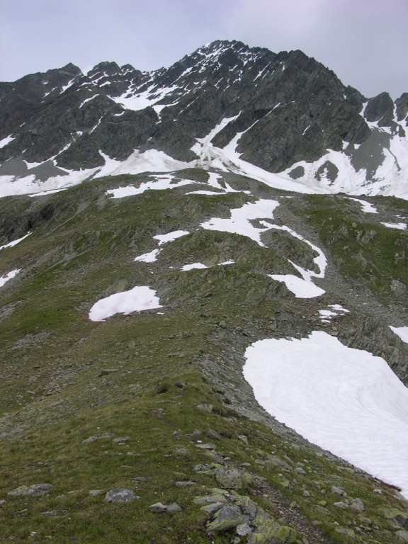 dscn4519.jpg