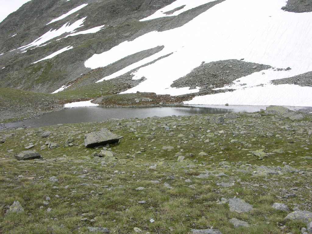 dscn4520.jpg