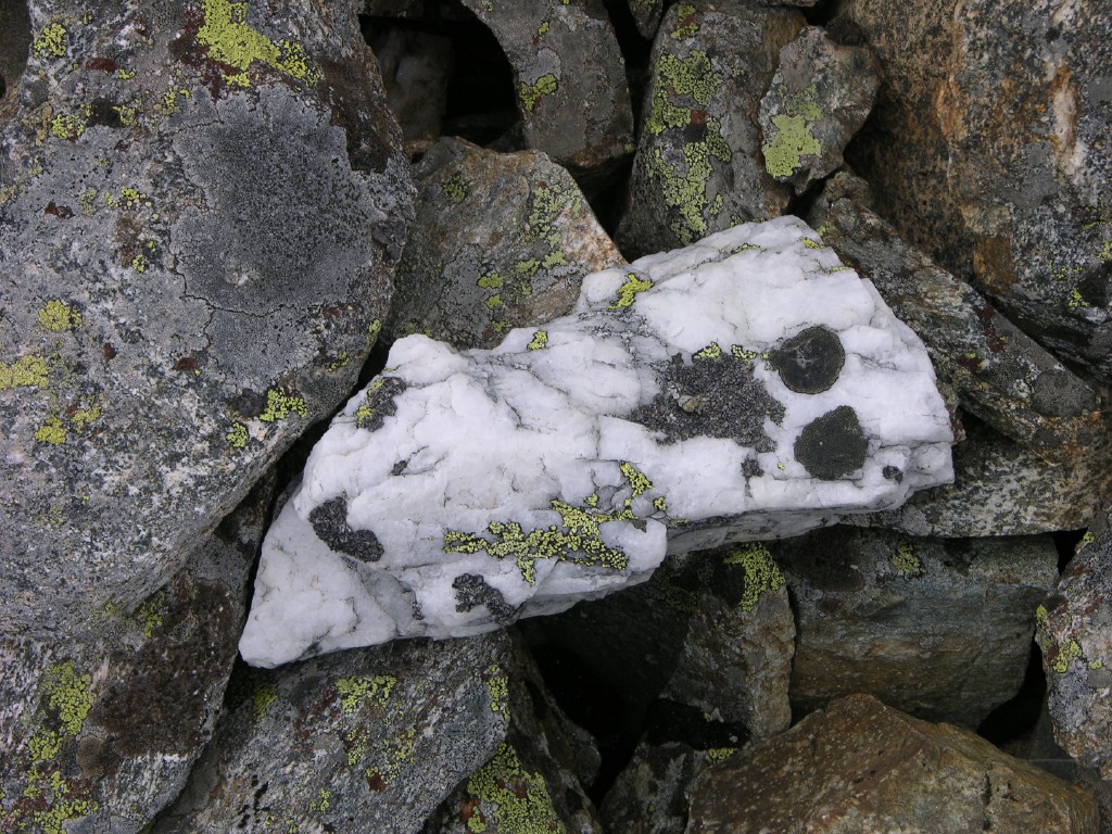 dscn4528.jpg