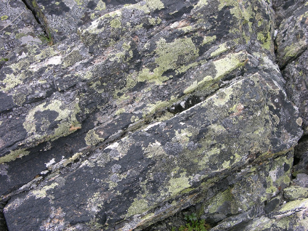 dscn4532.jpg