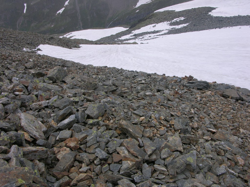 dscn4534.jpg