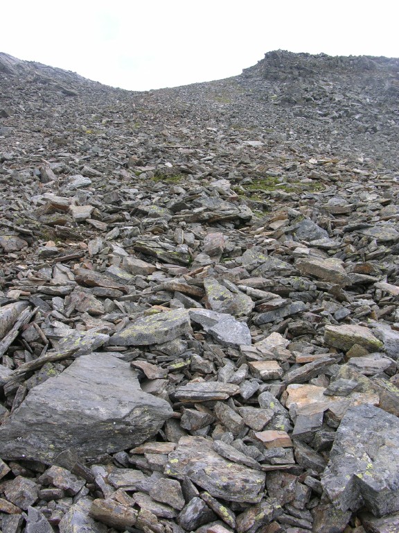dscn4535.jpg