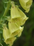 dscn4513.jpg