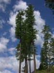 dscn4516.jpg