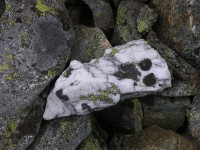 dscn4528.jpg