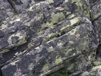 dscn4532.jpg