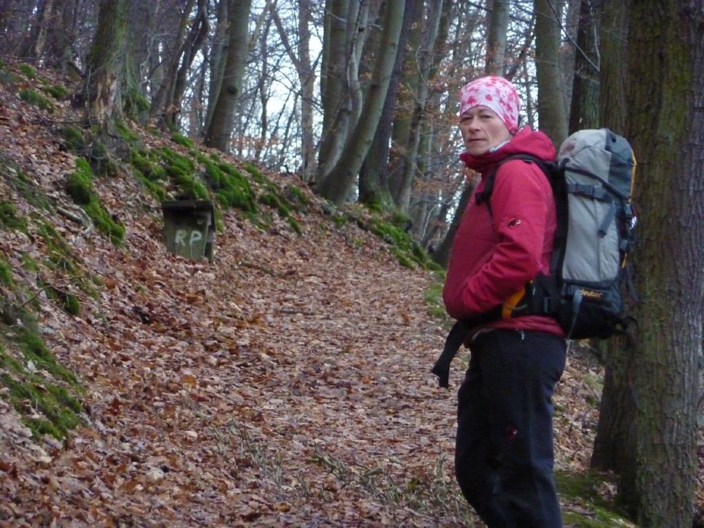 p1000103.jpg