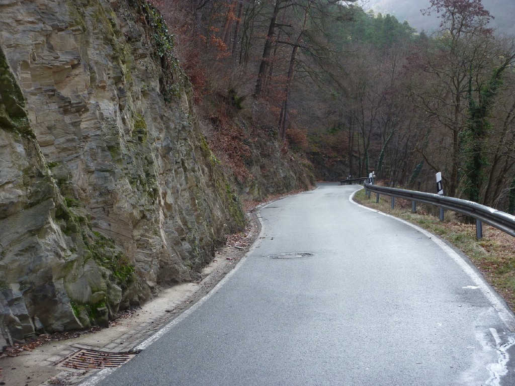 p1000115.jpg