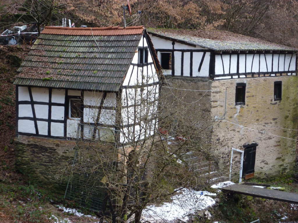 p1000117.jpg