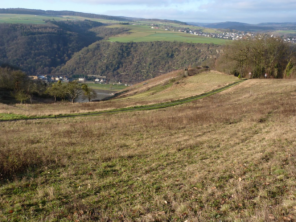 p1000125.jpg