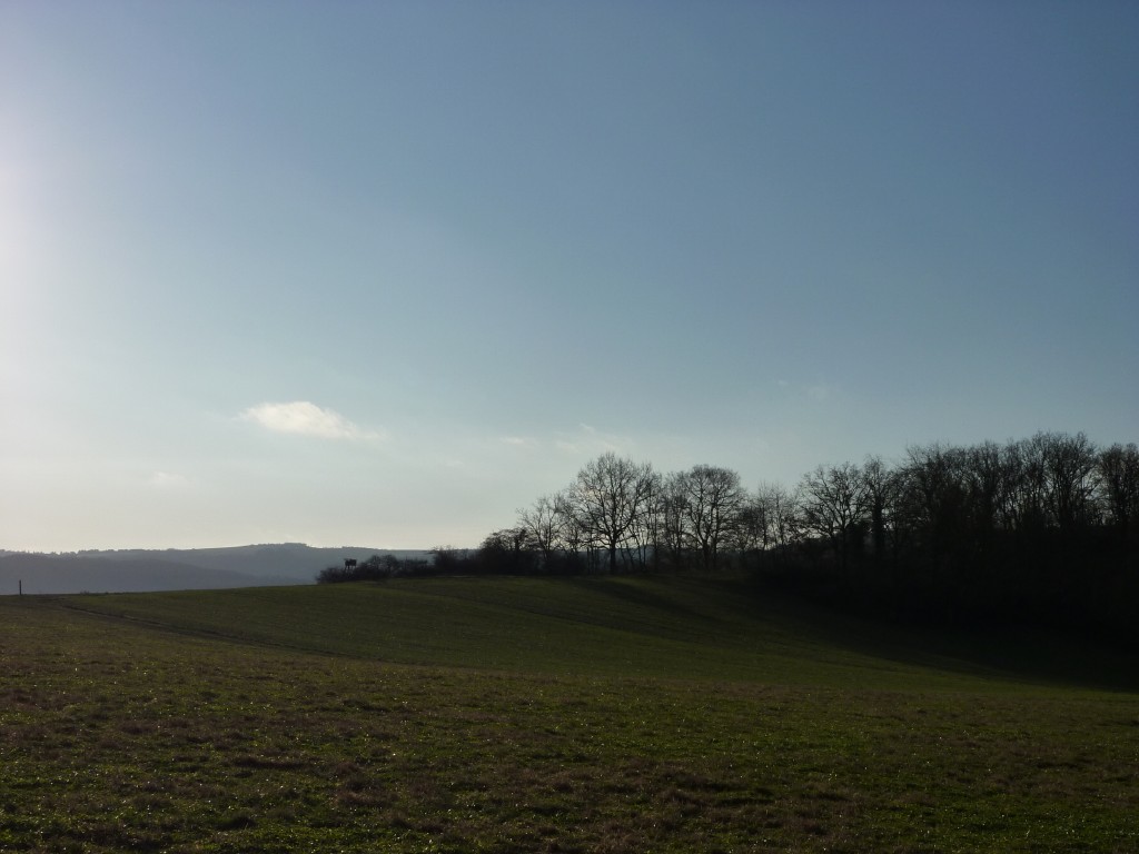 p1000128.jpg