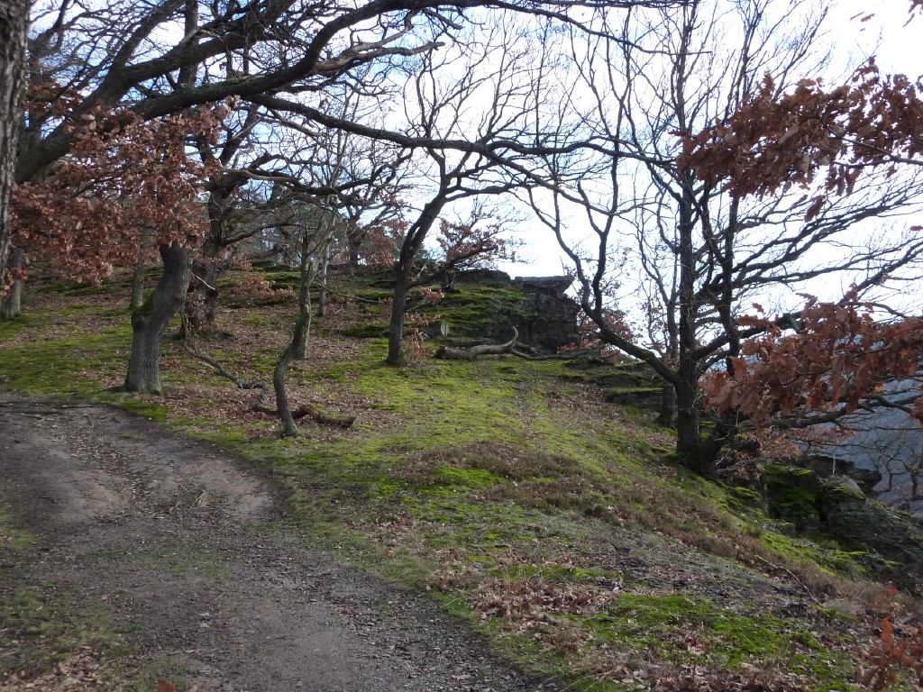 p1000132.jpg