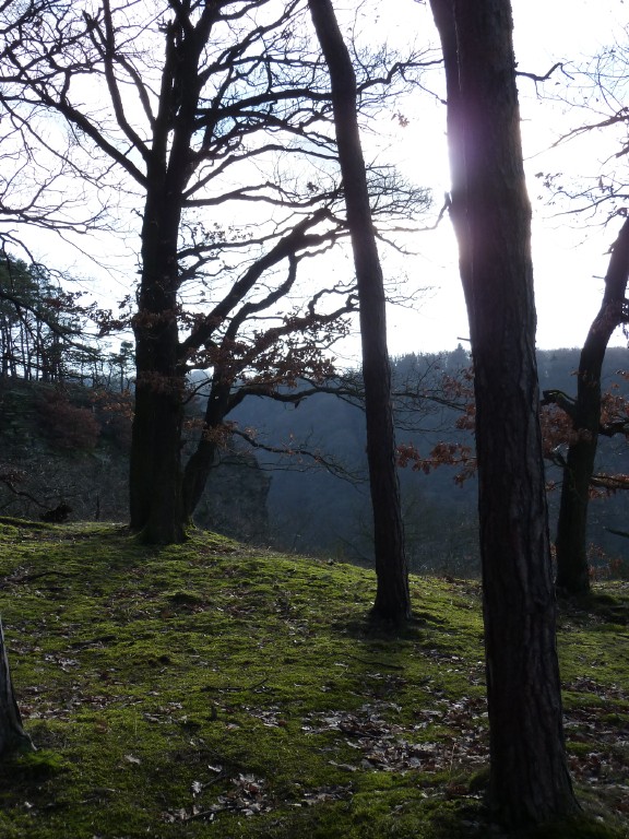 p1000134.jpg