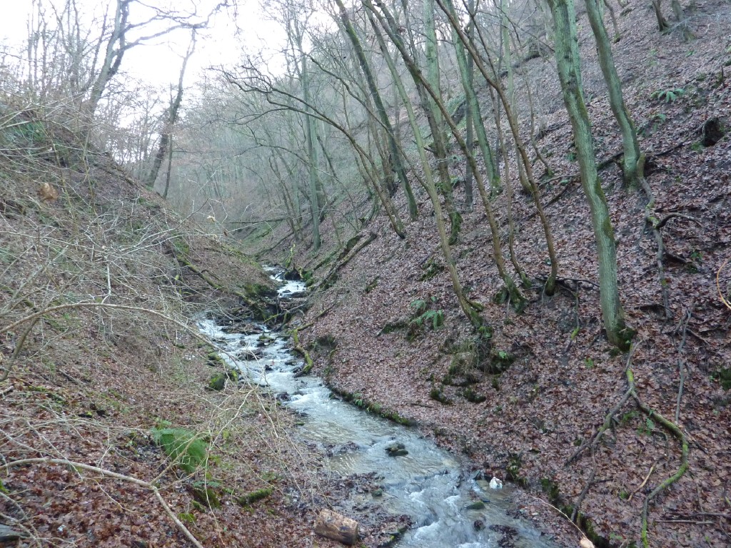p1000138.jpg