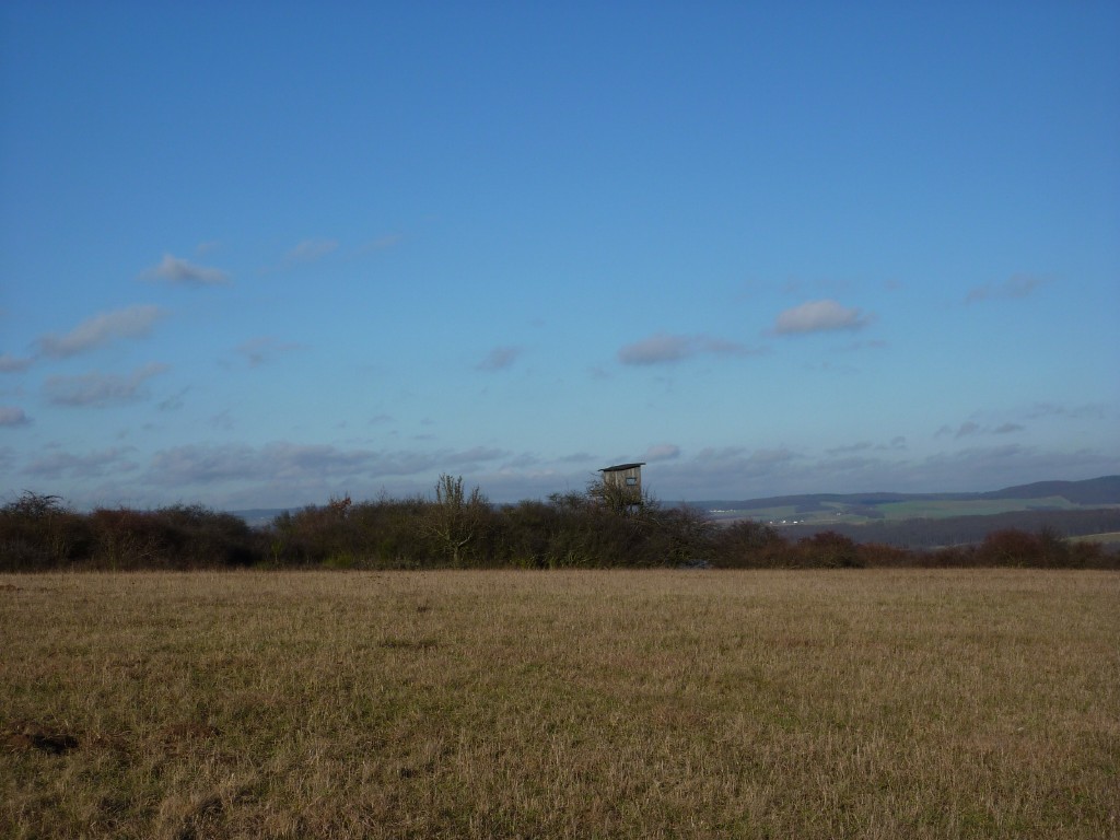 p1000141.jpg