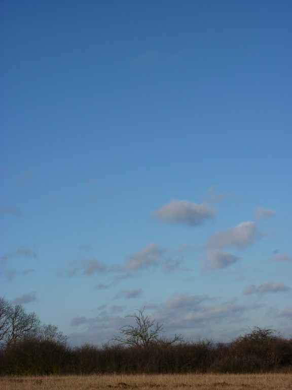 p1000144.jpg