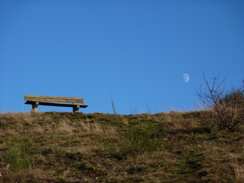 p1000147.jpg