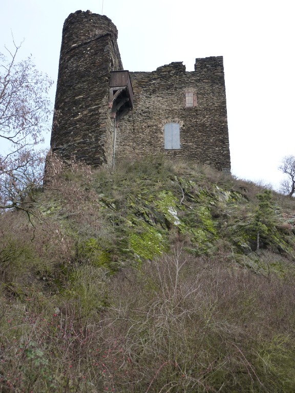 p1000165.jpg