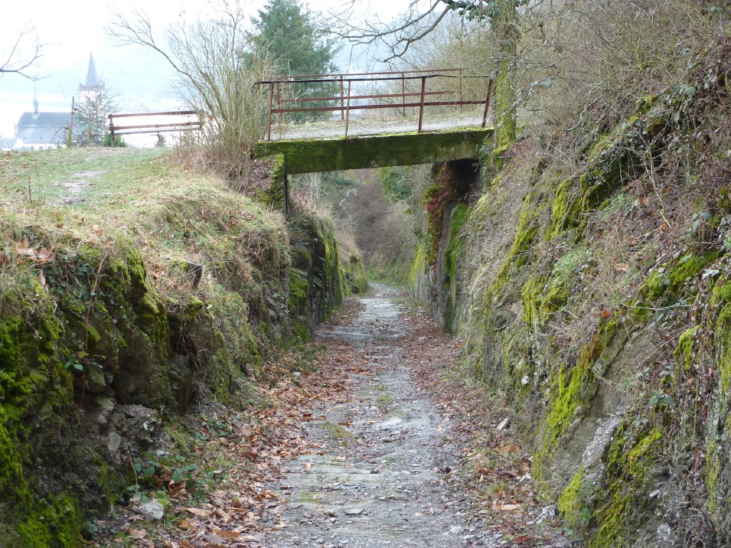 p1000168.jpg
